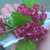 :iconwinnie-nybo: