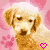 :iconwinniepriss: