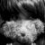 :iconwint3r88: