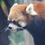 :iconwinter-and-co-dsi:
