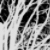 :iconwinter-joy:
