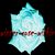 :iconwinter-rose-within: