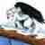 :iconwinter9wolf: