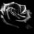:iconwinterdaemon: