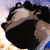 :iconwinterheart87: