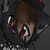 :iconwinterkit: