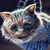 :iconwinterparck: