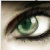 :iconwinterraven-x: