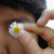 :iconwinterrosebrownart: