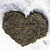 :iconwintersalad: