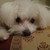 :iconwintersnow20: