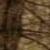 :iconwinterwithin: