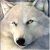 :iconwinterwolf88: