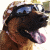 :iconwinterwolf910: