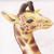 :iconwinterwolfwind: