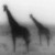 wiredforsoundd :iconwiredforsoundd: