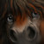 :iconwiredhooves:
