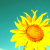 :iconwireless-thoughts: