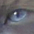 :iconwiridirsh: