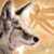 :iconwirmkiller:
