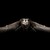 :iconwise-owl-00: