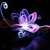 :iconwiseacre7: