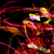 :iconwiseturner62: