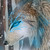 :iconwisewolfspirit: