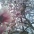 :iconwishfilledthoughts72: