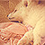 :iconwissenwaswird:
