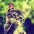 :iconwistful-butterfly: