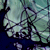 :iconWiszus: