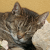 :iconwitchi-photos:
