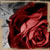 :iconwitchingtimeofnight: