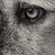 :iconwitf88: