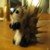 :iconwith-a-cherry-on-top: