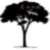 :iconwith-diamonds: