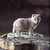 :iconwith-the-wolves: