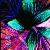 Wither-wings :iconwither-wings: