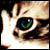 :iconwitheredaway: