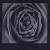 :iconwitherrose: