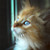 :iconwithinamemory: