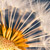 :iconWithKaleidoscopeeyes: