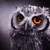 :iconwithlovefromwonder: