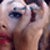 :iconwithout-destiny:
