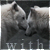 :iconwithout-uprising:
