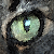 :iconwiththisinmind: