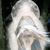 :iconwizafir: