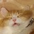 :iconwizard-kgalm: