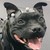 :iconwje1104: